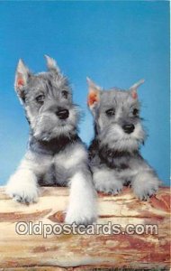 Schnauzer Dog Unused 