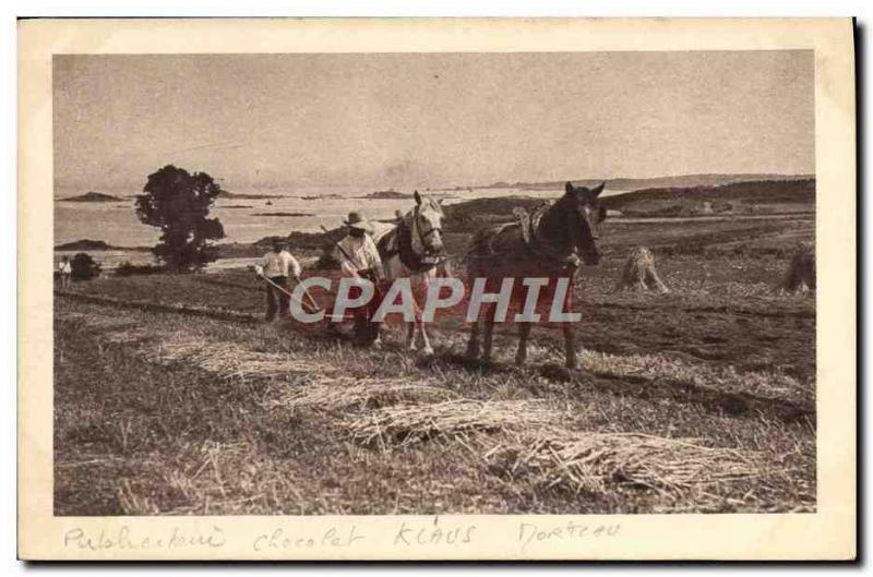 Old Postcard Folklore Horse Hitch Labor chocolate klaus