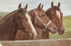 C. Reichert. Three Horses Tuck Oilette Bit and Bridle  Ser PC # 3174