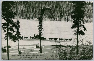 Dog Teams At Port Radium In The Canadian Arctic Canada 1940s Postcard