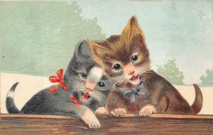 A PAIR OF CATS EMBOSSED POSTCARD (c. 1910)