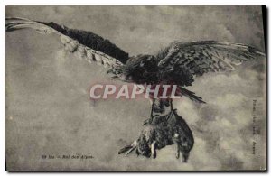 Old Postcard King of the Rabbit Raptor Eagle Alps