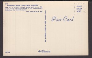 Greetings from The Amish Country Pennsylvania - Amish closed Buggy and Horse