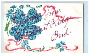 1908 Greetings from Chestnut Ridge Indiana IN Posted Flower & Glitter Postcard