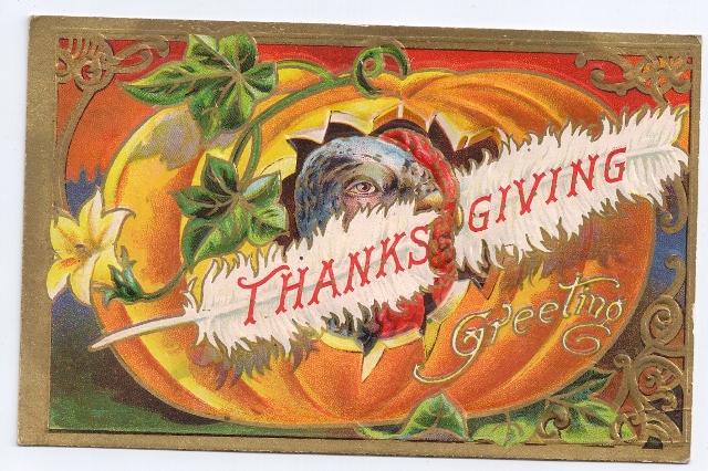 Vintage Thanksgiving Postcard Embossed Gold Turkey Pumpkin White Feather 1908