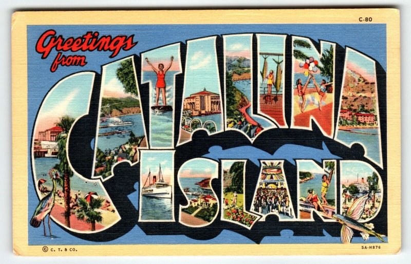 Greetings From Catalina Island California Large Letter Linen Postcard Curt Teich