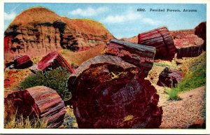 Arizona Adamana Petrified Forests