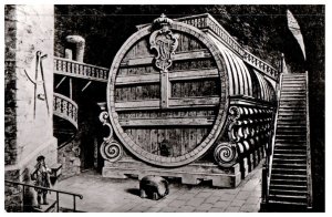 The Big Heidelberg Barrel built in 1750 Germany Black And White Postcard