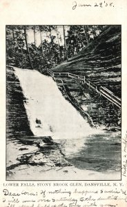 Vintage Postcard 1906 Lower Falls Stoneybrook Glenn Dansville New York NY