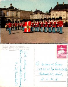 The Royal Guard at Amalienborg Palace, Denemark (9625)