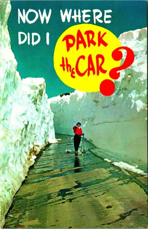 Snow Alley Deep Snow Ski Oregon Washington Comic Where did I Park? Postcard