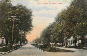 Vintage Postcard Park Avenue Waterloo IA Black Hawk County