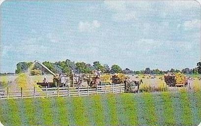 Indiana Northern Indiana Amish Farm of Northern Indiana