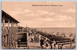 K44/ Madison Connecticut Postcard c1910 Hammonassett Beach Crowd 231