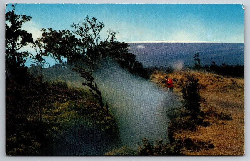 Steam Crack Hawaii National Park Hawaii Island Kilauea Volcano HI Postcard D22