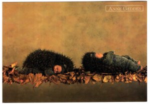 Anne Geddes 1996,  Two Hedge Hog Babies, Photography