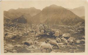 Planina na Celu pod Stolom Pogled na Begunjscico Slovenia Vintage Photo Postcard