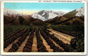 1929 Old Baldy From The Orange Groves California CA Mountain Posted Postcard