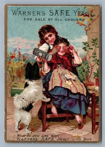 VICTORIAN TRADE CARD WARNER'S SAFE YEAST antique