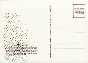 postcard Australian Flowers - Bottle Brush