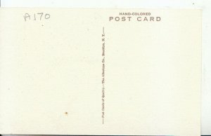 Bermuda Postcard - The Inverurie and Cottages - Ref 11478A