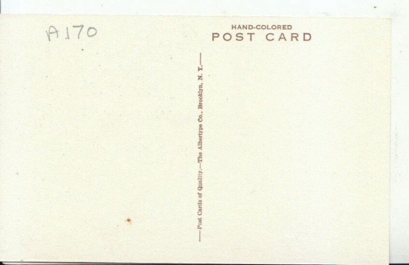 Bermuda Postcard - The Inverurie and Cottages - Ref 11478A