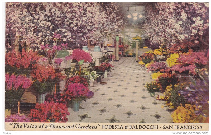 The Voice of a Thousand Gardens Podesta & Baldocchi, San Francisco, Califor...