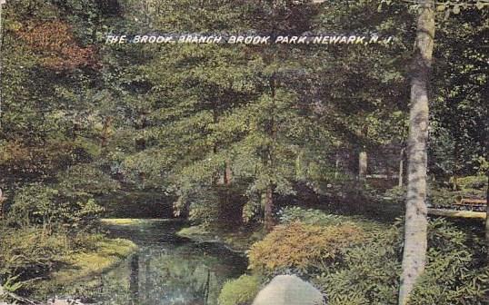 The Brook Branch Brook Park Newark New Jersey 1910