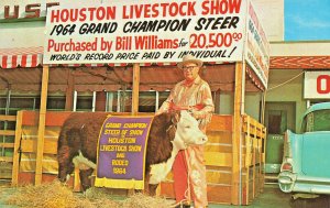 Houston TX Livestock Show By Bill Williams 1964 Grand Champion Postcard