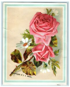 1880's J.C Wahl Fine Shoes Beautiful Pink Roses Image 7A