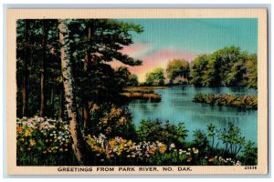 Park River North Dakota ND Postcard Greetings Scenic View c1940's Vintage Trees