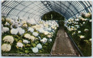 Chrysanthemum Display, Phipps Conservatories, Schenley Park - Pittsburgh, PA