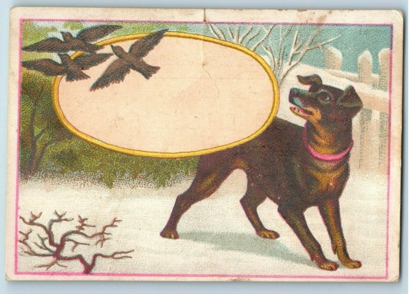 Dog Birds Anchor Coffee Boos & Holbrook Toledo, OH Trade Card P2