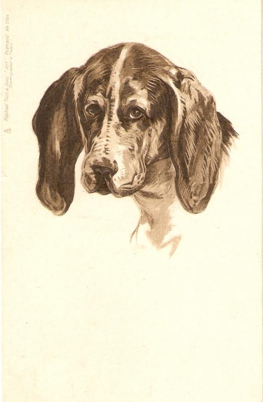 A dog Early Tuck Art Series PC # 3764. Embossed