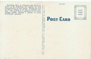 America Postcard - Shrimp Boats - St Augustine - Florida - Ref 1629A