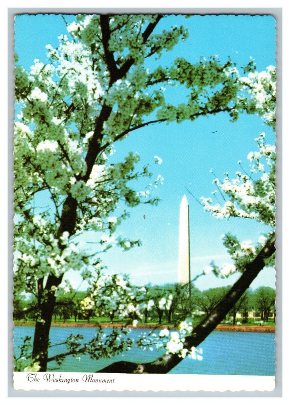 The Washington Monument Vintage Postcard Continental View Card #1 Cherry Trees