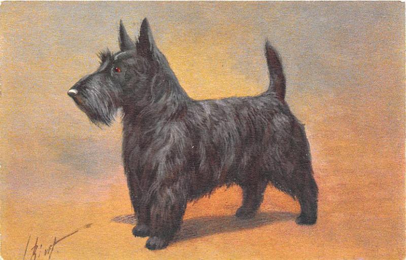 Scottie Terrier Dog Unknown Artist to Me, Postcard