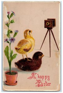 c1910's Happy Easter Chicks Camera Flowers Pot Cairo Illinois IL Posted Postcard