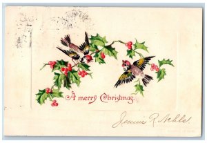 Christmas Postcard Song Birds Holly Berries Embossed Dubuque Iowa IA c1905