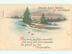 Divided-Back CHRISTMAS BIRDS SCENE Pretty Postcard W8507