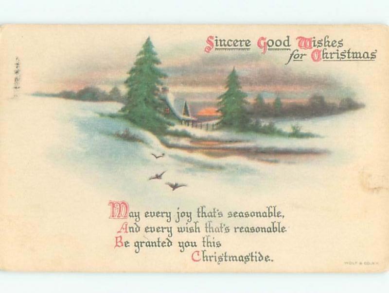 Divided-Back CHRISTMAS BIRDS SCENE Pretty Postcard W8507