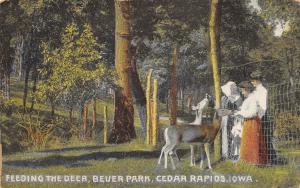 Cedar Rapids Iowa 1910 Postcard Feeding the Deer Beuer Park