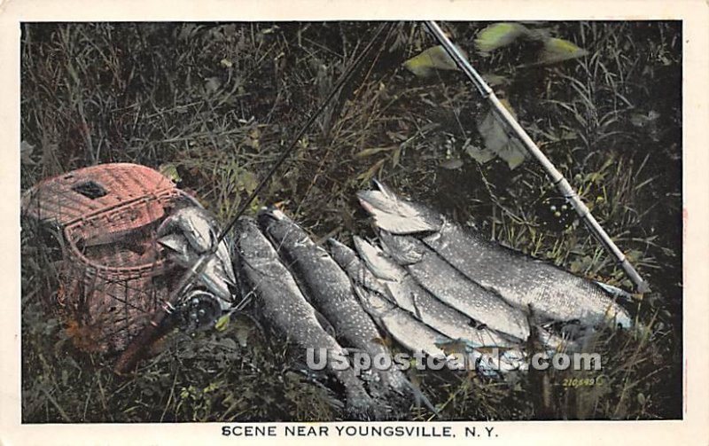 Fishing Catch - Youngsville, New York NY  