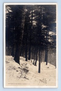 RPPC Winter Scene In Woods Conway New Hampshire NH  UNP Postcard N4