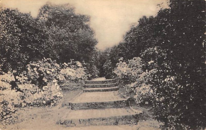 Middleton Place Gardens Steps and Azaleas Charleston, South Carolina