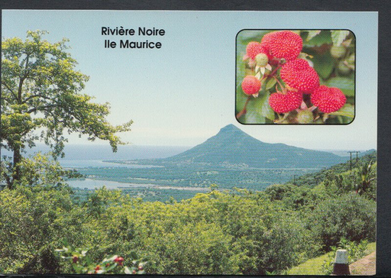 Mauritius Postcard - Riviere Noire Ile Maurice      T4166