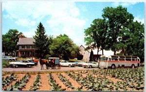 Postcard - The Amish Farm & House, 6 Miles East of Lancaster, Pennsylvania, USA