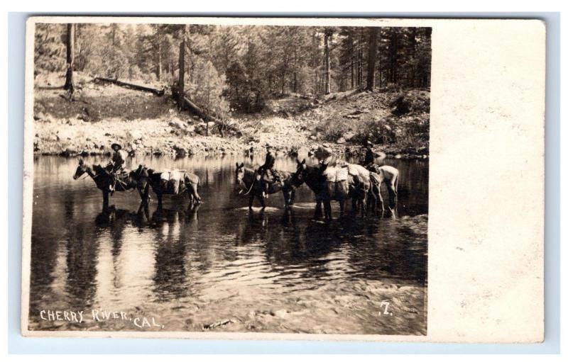 Postcard Cherry River, CA Men Crossing River on Horses 1909 RPPC H11