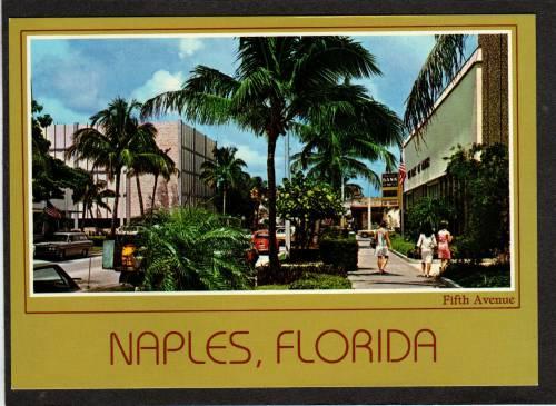 FL Business Section NAPLES ON THE GULF FLORIDA Postcard