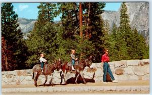 YOSEMITE NATIONAL PARK, CA   Kids Riding Donkeys from Stables c1950s  Postcard
